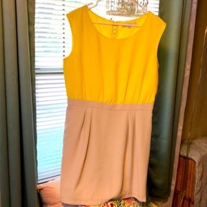Yellow LOFT dress